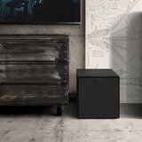 Klipsch R-121SW Aktivni subwoofer crni | shoptok.hr