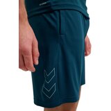 Hummel Muški šorc HMLTE Flex Mesh Shorts, Plavi | ePonuda.com