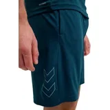 Muški šorc HMLTE Flex Mesh Shorts, Plavi