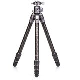 Benro Tortoise 24C + GX30 Kit cijene