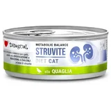 Disigual veterinarska dijeta za mačke konzerva Struvite - Quail 85g
