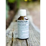  DROSIPECTUM© 100ML - proti kašlju Cene