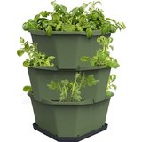 Gusta Garden Paul Potato Starter - 3 nadstropja - zelena Cene