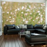  Tapeta - White delicate flowers 200x154 Cijene