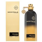 Montale Spicy Aoud parfumirana voda unisex 100 ml | Shoptok.si
