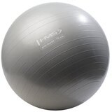  Yb02n 75cm siva lopta za teretanu hms | shoptok.hr
