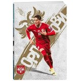 Best Buy premium sveska 50 lista fss - odaberite motiv a5 vlahović latajn ( B2C01871 ) Cene
