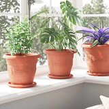  Krožni cvetlični pladenj 24 pcs Kamnito rdeča Ø 14 x 2 cm, (5000207766) | Shoptok.si