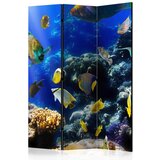 Artgeist Paravan Underwater Adventure, 3-Delni, Dvostranski | Shoptok.si