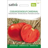 BIO mesnat paradižnik “Cardinal” | Shoptok.si