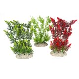 Duvo Elodea Densa Biljke za akvarijum, L, 25cm Cene