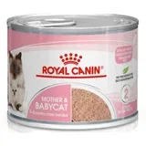 Royal Canin Cat Mother & Babycat konzerva 195 g