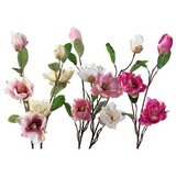  MAGNOLIJA 65CM 53525 Cijene