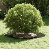  Pogodno za ravne drvene prstenove 5 pcs Maslinovo zelena | shoptok.hr