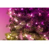 TWINKLY GD20P4425P00 - prigušiva LED RGB božićni venac, 50 LED, prečnik 60 cm, Wi-Fi | Eponuda.com