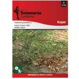  Mirođija seme (071169) | ePonuda.com