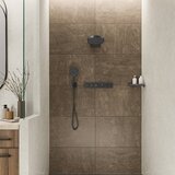 Hansgrohe 26865670 rainfinity tuš ročka 3 funkcije ecosmart | Shoptok.si
