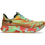 Asics Noosa Tri 15 | shoptok.hr