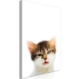  Slika - Vexed Cat (1 Part) Vertical 80x120 Cijene