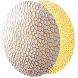 Opviq lights Yosma 13646 Zidna lampa, Bijela | Eponuda.ba