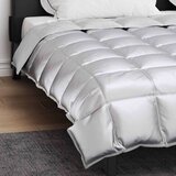  Zimska posteljnina srebrna 220 x 260 cm Satin in mikrovlakna, (5000147543) | Shoptok.si