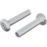  Vijak s plastičnom glavom 2 pcs Srebrno M6 x 30 mm Čelik | shoptok.hr