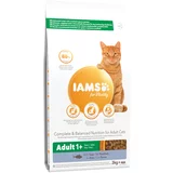 IAMS for Vitality Adult s tuno - Varčno pakiranje: 2 x 3 kg