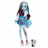 Monster High lutka frenki HHK53 cene