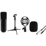 Sal Studijski mikrofon set sa tripod stalkom M12 | ePonuda.com
