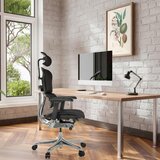 MID.YOU Pisarniški Stol Ergohuman Gen2, Črna | Shoptok.si