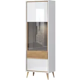 VIDA-V1S vitrina