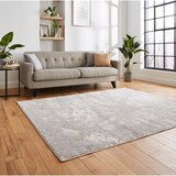 Think Rugs Svijetlo sivi tepih 200x290 cm Apollo – | shoptok.hr