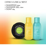 Baylis & Harding Men's Citrus Lime & Mint darilni set za moške | Shoptok.si