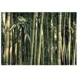  Tapeta - Bamboo Exotic 350x245 | shoptok.hr