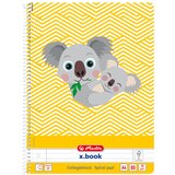 Herlitz Blok kolegij A4 80 listova karo, Koala, | shoptok.hr