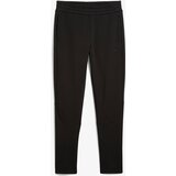 Puma donji deo trenerke za dečake EVOSTRIPE CORE Pants cene