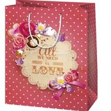 Cardex Srednje velika darilna vrečka 18x23x10cm z motivom &quot,All I need is Love&quot, | Shoptok.si