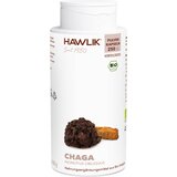  Kapsule iz bio Chaga gobo v prahu - 250 kaps. u