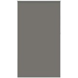 vidaXL Rolo zatemnjena siv 120x230cm tkanina širina 116,6cm poliester | Shoptok.si