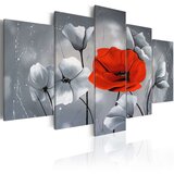  Slika - Uniqueness 200x100 | shoptok.hr