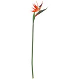 Atmosphera umjetna grana rajske ptice 83 cm Slike