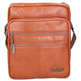 Northampton Polo Club muŠka torbica glx22pcl310323fbg/ braon Cene