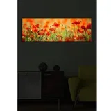 Slika na platnu sa LED osvetljenjem 30x90cm