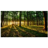  Tapeta XXL - Mystical Morning II 500x280 | shoptok.hr