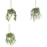Atmosphera Veštačka biljka u visećoj pletenoj saksiji 14x14x50 (206530) | ePonuda.com