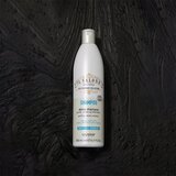ALFAPARF MILANO Il Salone Milano Detox detoksikacijski šampon za čišćenje za kosu izloženu zagađenom zraku 500 ml | shoptok.hr