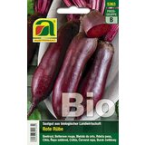 BIO rdeča pesa Cylindra Cene