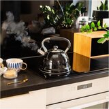 Teesa TSA0152 čajnik sa zviždaljkom 3 l, za indukciju, crni | shoptok.hr