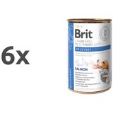 Brit veterinary diet Brit GF Veterinarska dieta za pse in mačke Recovery, 400g 6 x 400 g | Shoptok.si