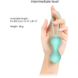 ove to Love LJoia - silikonska geisha ball duo (menta) | shoptok.hr